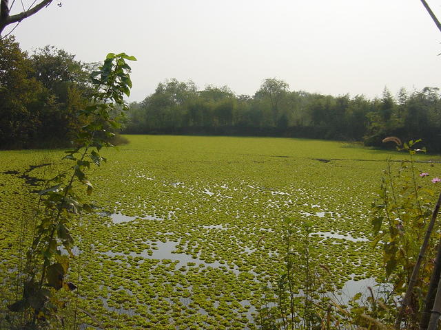 DSC07006
