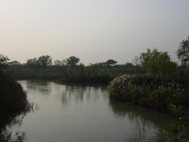 DSC07007