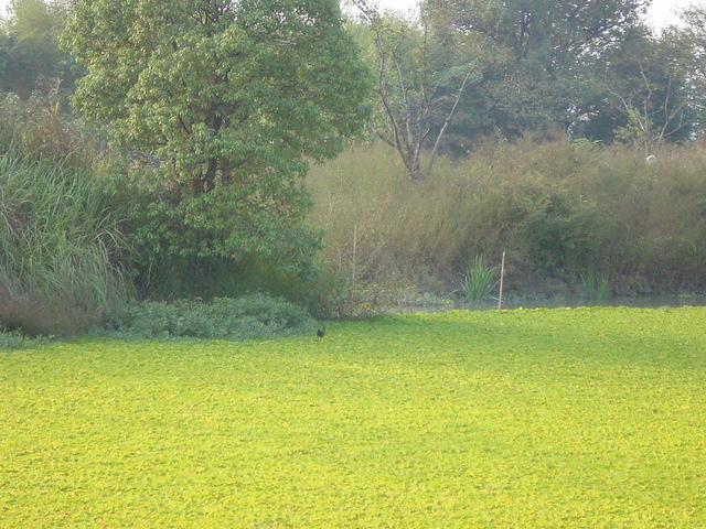 DSC07009
