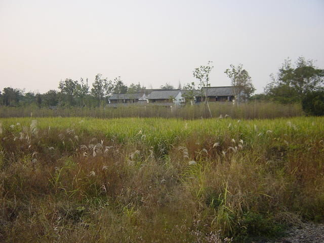DSC07010