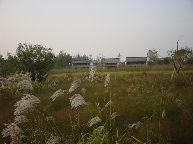 DSC07011