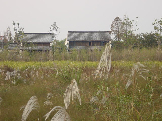 DSC07012