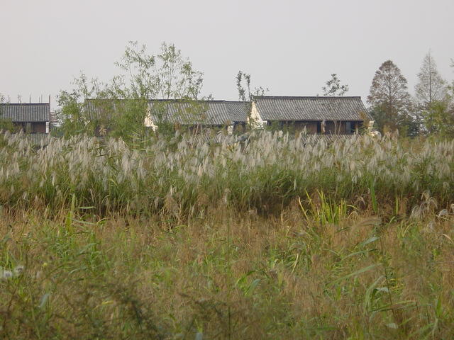 DSC07013