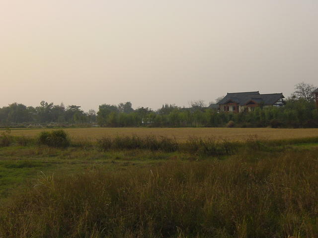 DSC07017