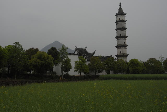 DSC1618