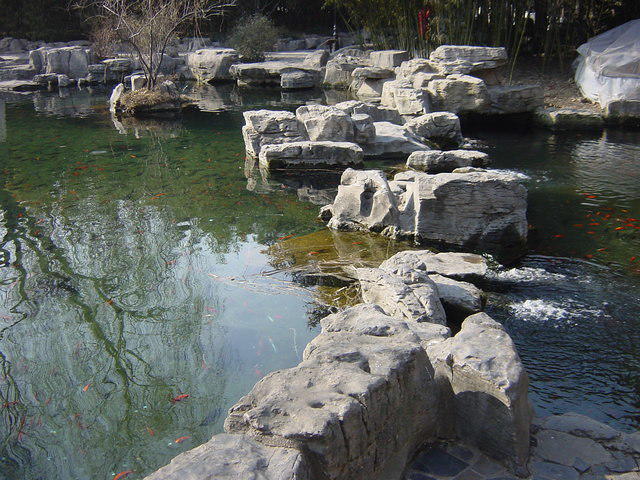 DSC05162