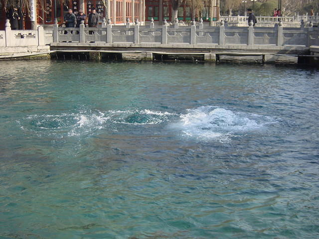 DSC05164