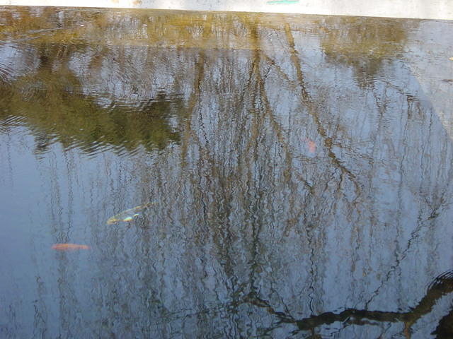 DSC05165