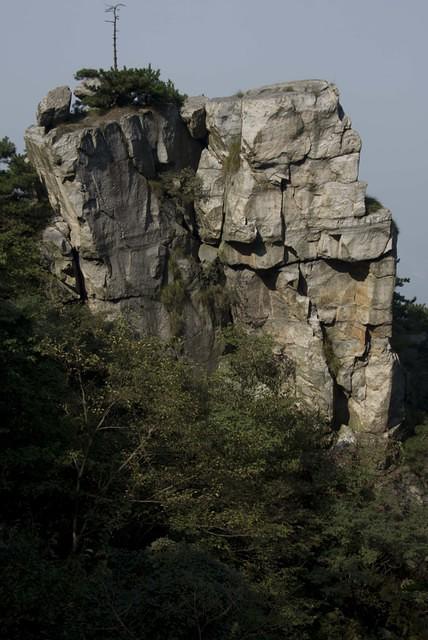 DSC 0086