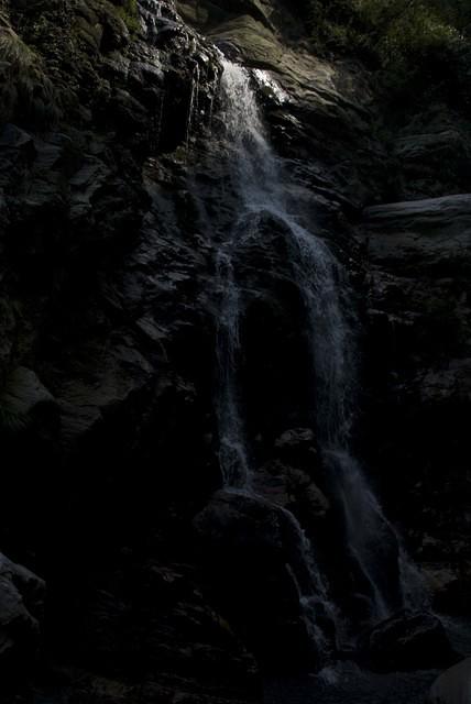 DSC 0110