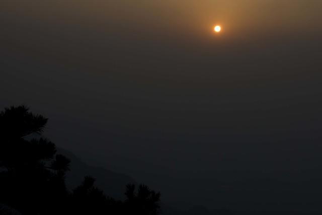 DSC 0161