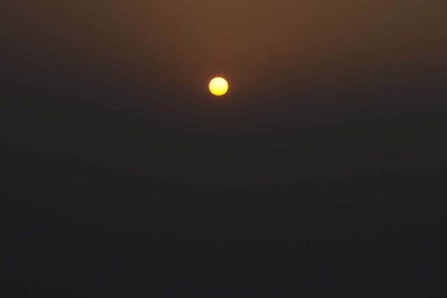 DSC 0169