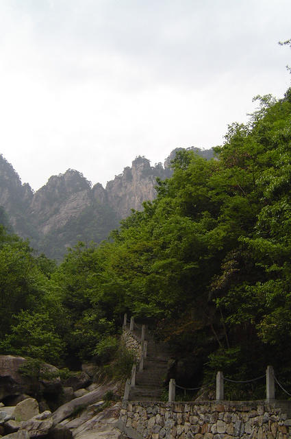 DSC00477