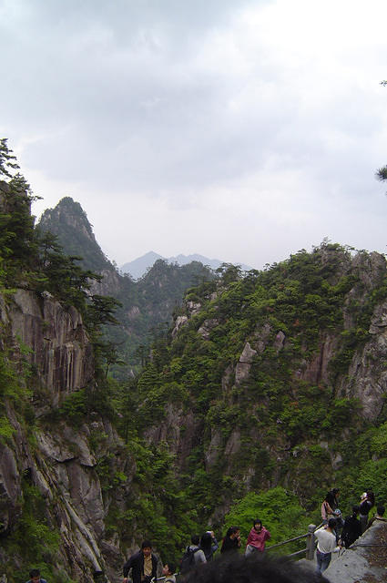 DSC00494