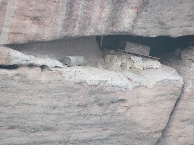 IMG 0457