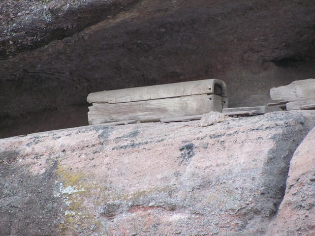 IMG 0477
