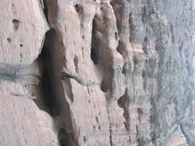 IMG 0479