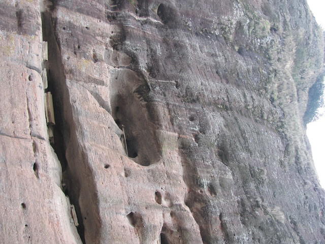 IMG 0480