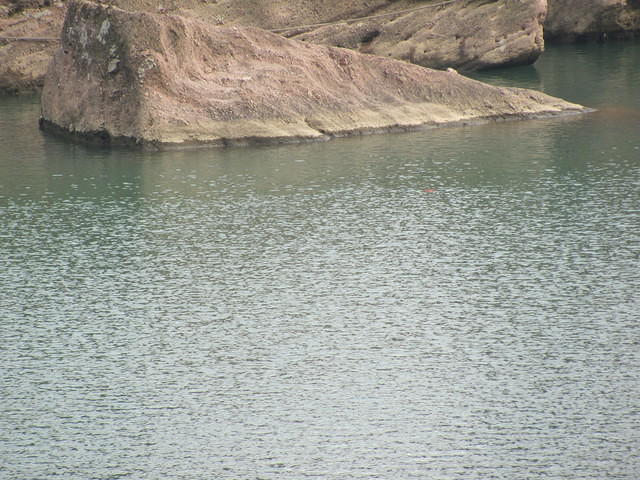 IMG 0489