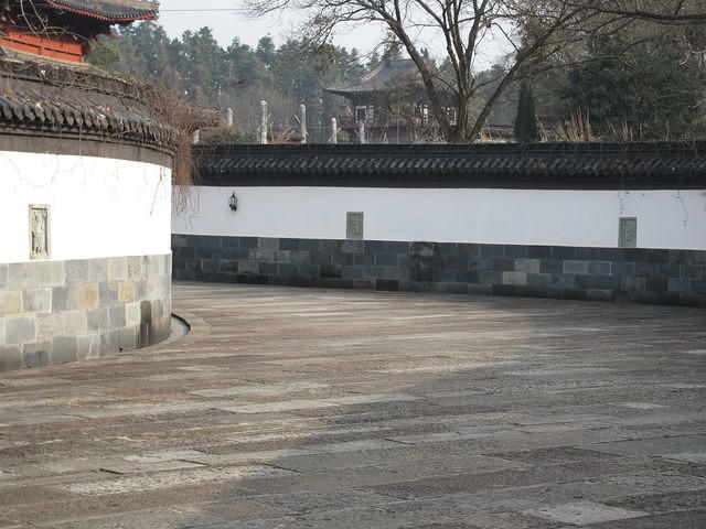 IMG 0502
