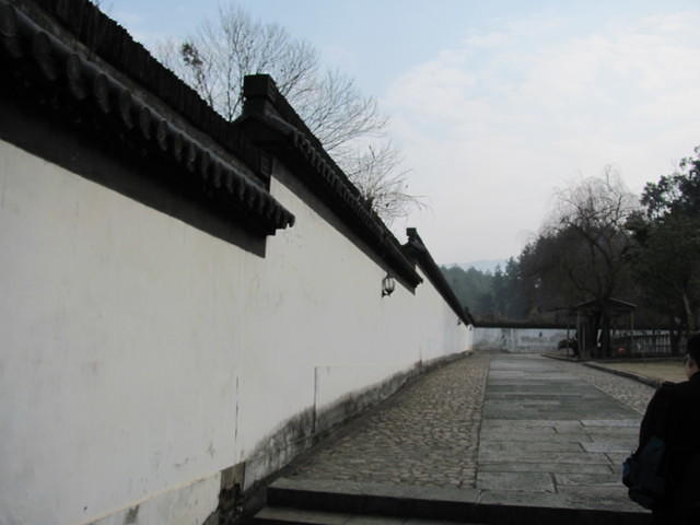 IMG 0509