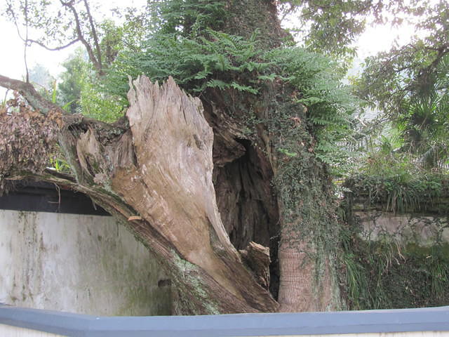 IMG 0512