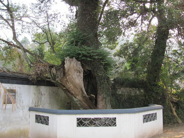 IMG 0513