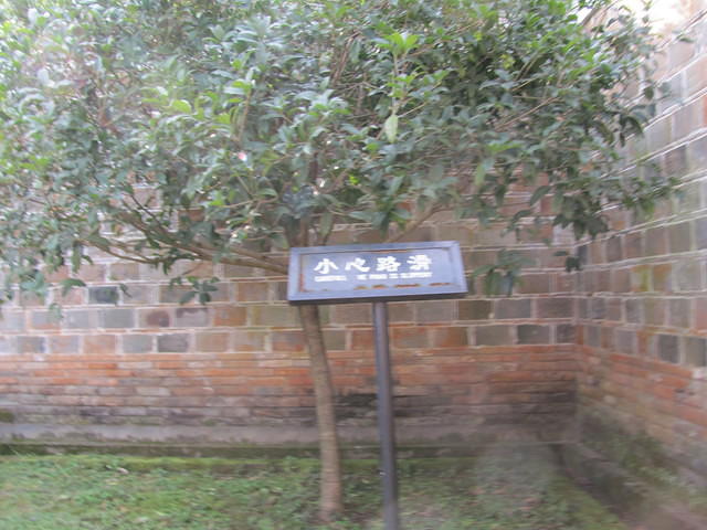 IMG 0517
