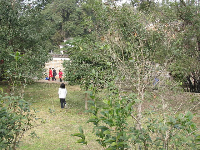 IMG 0528