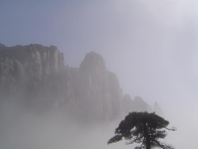 DSC01532