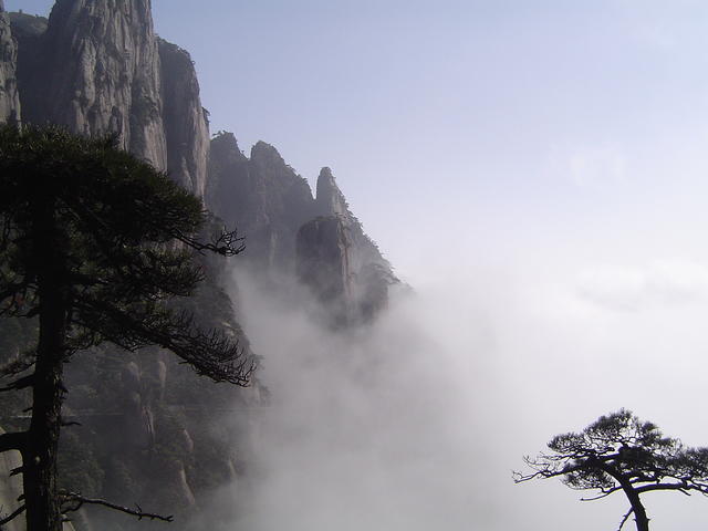 DSC01534