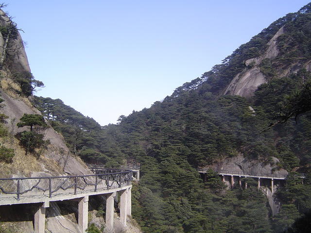 DSC01535