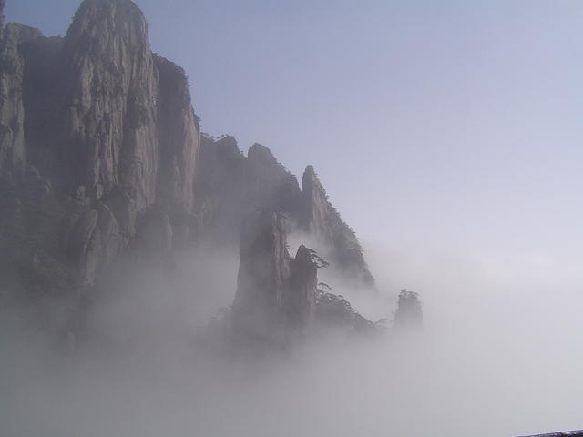 DSC01537