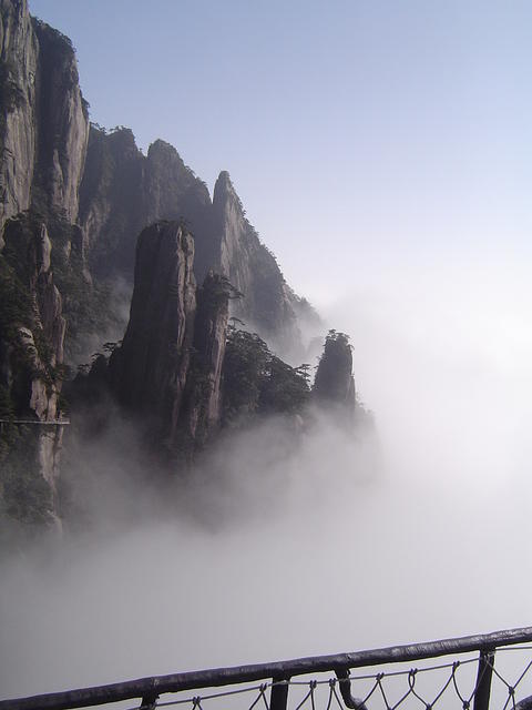 DSC01539