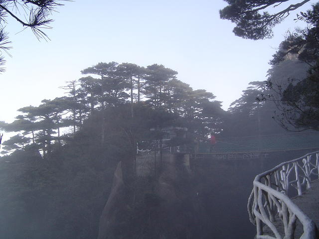 DSC01545