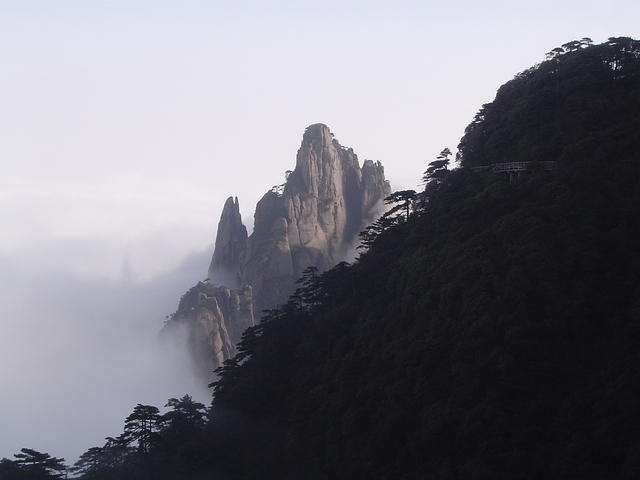 DSC01551