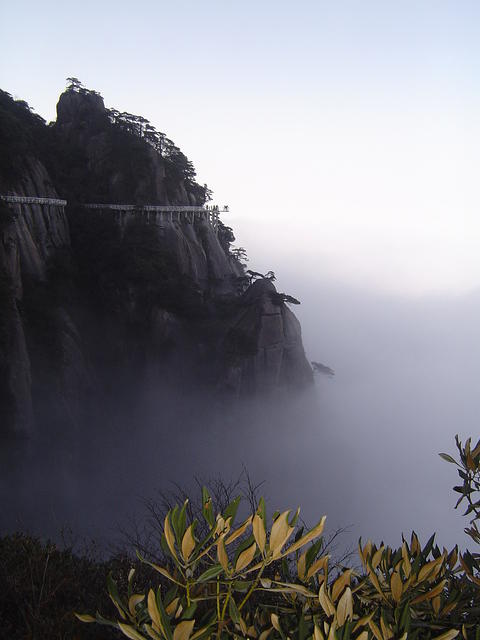 DSC01552