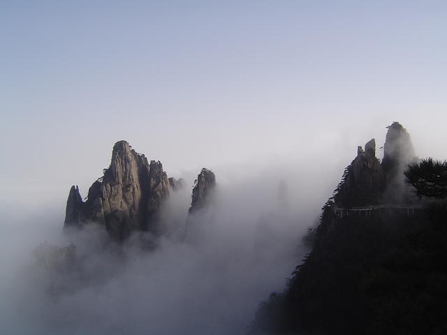 DSC01554