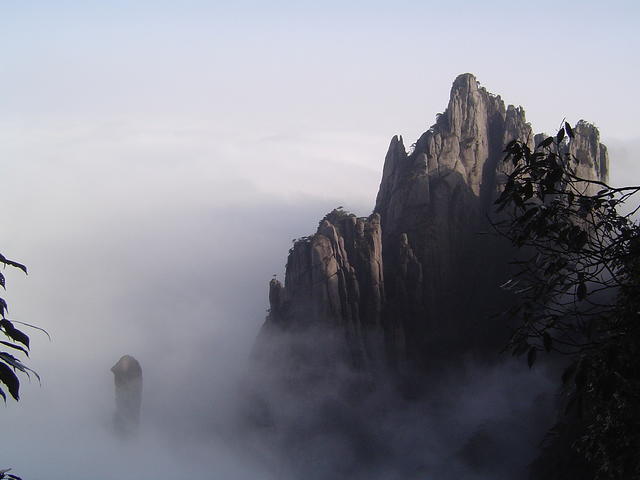 DSC01557