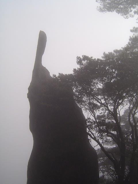 DSC01558