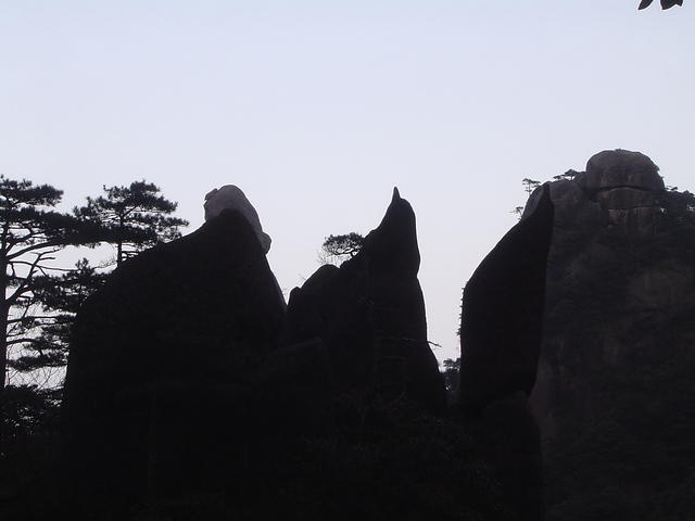 DSC01566