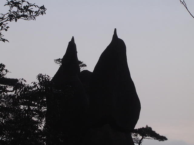 DSC01567