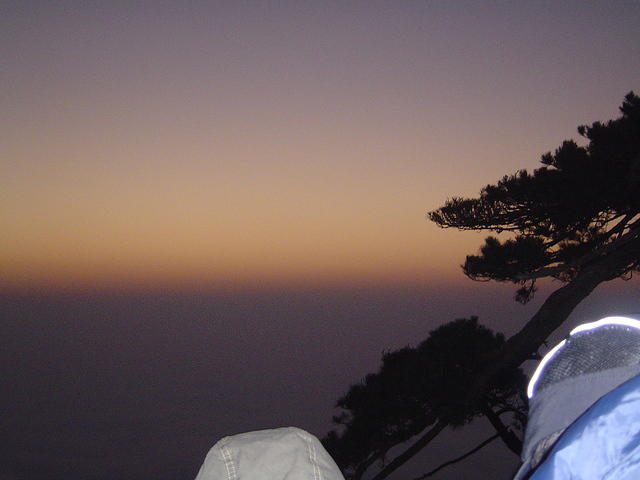 DSC01571