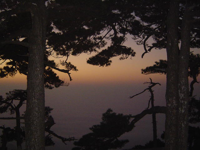 DSC01572