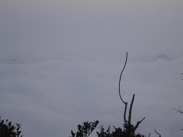 DSC01577