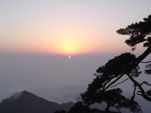 DSC01580