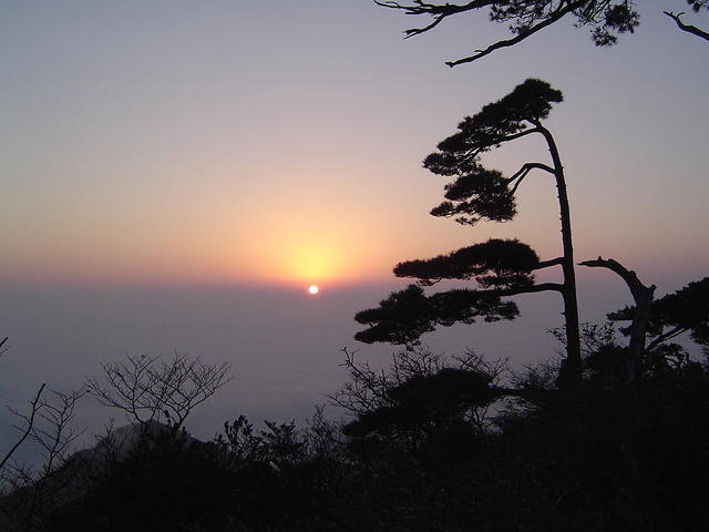 DSC01583