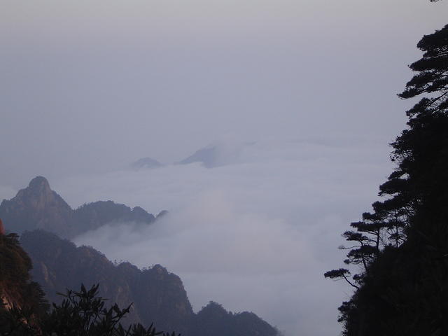 DSC01586