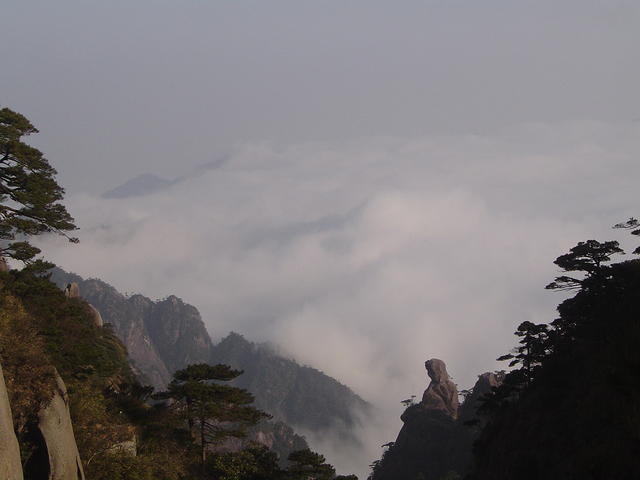 DSC01591