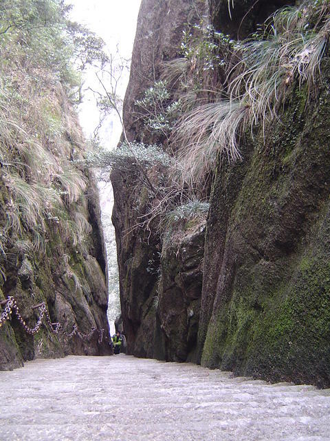 DSC01592